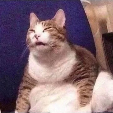 The Fat Cat