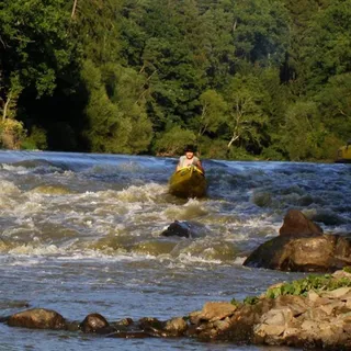 Krokodlak007