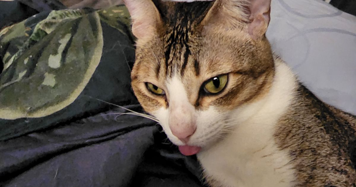 Smush | Printables.com