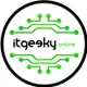itgeeky.online