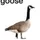 goose_caboose