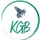 KayessGuitars