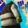 JetstreamShrek