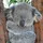 KoalaX5