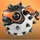 wpchamp987