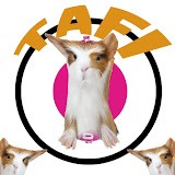 Tafi