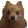 helifino