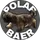 polar_baer