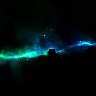 4D