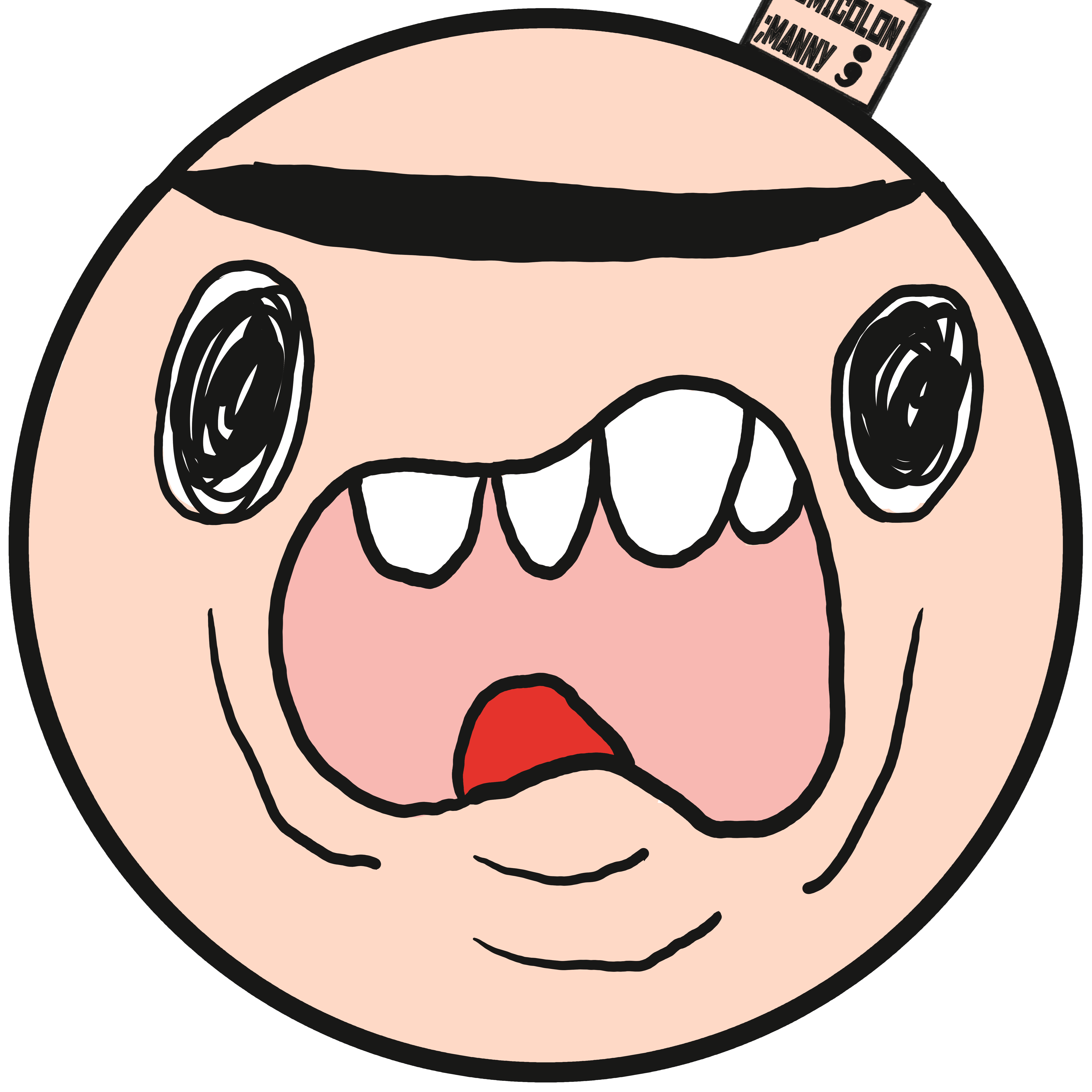 semicolon manny