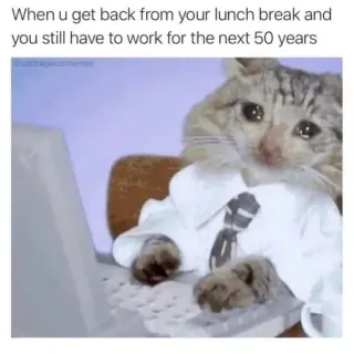 mbuaux
