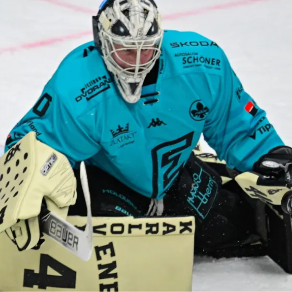 honzak hofrichter