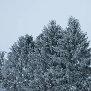 lumetorm