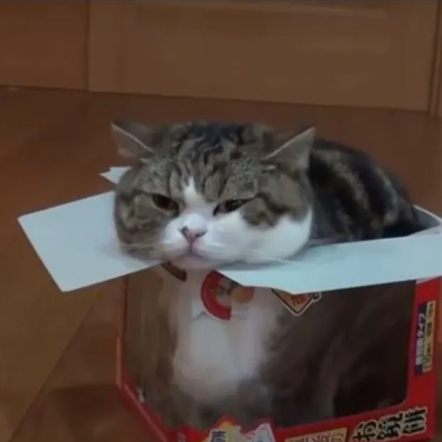 Dov