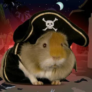 guineapirate
