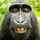 jochen_der_3d_drucker