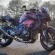 WillL84