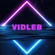 Vidleb306