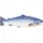 8-bit-fish