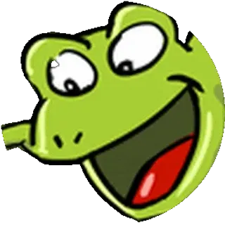 ncturtle