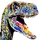 RaptorFou