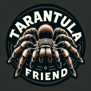 TarantulaFriend