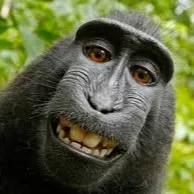 MonkeyEnterprise