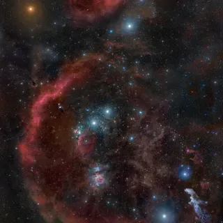 Orion
