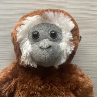 MonkeyBiz