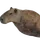RebeldeBarracuda