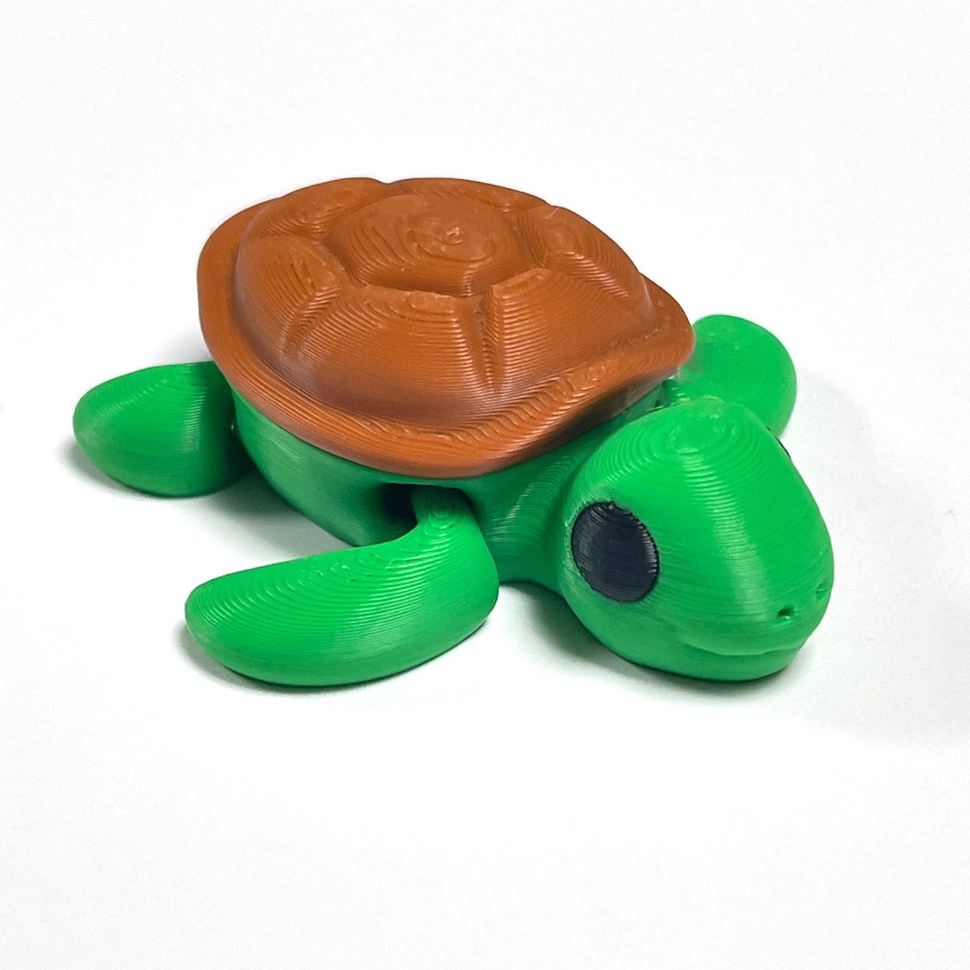 turtle