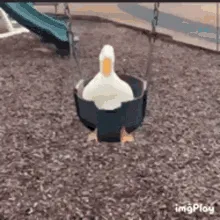 Jack W