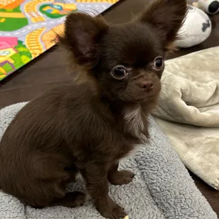 @PurelyAlex