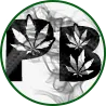 PerfectBake420