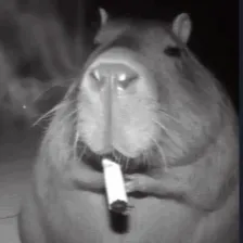vcx0