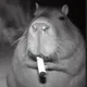 vcx0