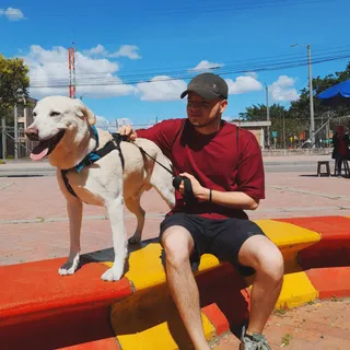 leandrocr31