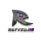 RayvenJ12