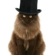 MeekoTheBard