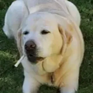 DurangoMan
