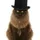 MeekoTheBard