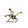 Zoltan