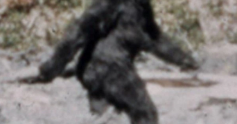 SASquatch | Printables.com