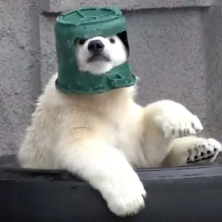 PanWiadro