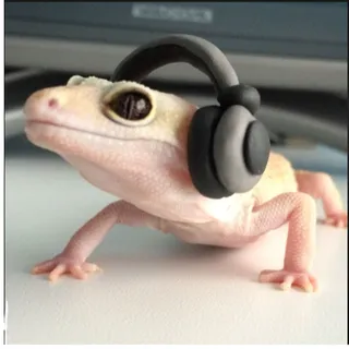 leoandkane r GOATS