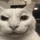 DNS