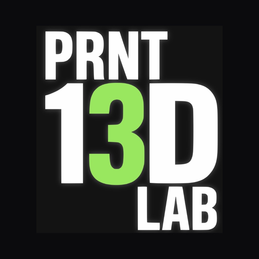 Prnt13DLab