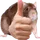 OperatorSoul