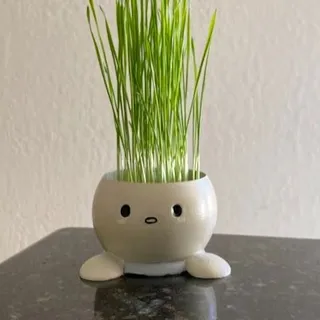 Budgiekraz