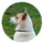 Stilfotografen